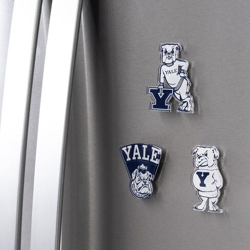 Desert Cactus Yale University Acrylic Magnet 3 Pack Bulldogs Decorative Design Officially Licensed (Magnet Set B) in Kuwait