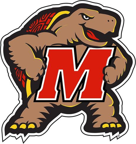 Craftique Maryland Magnet (M Terrapin Magnet (3",6",12"), 3 in) in Kuwait