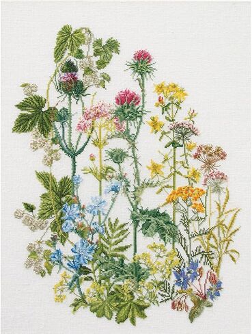 Thea Gouverneur - Counted Cross Stitch Kit - Herbs - Aida - 18 Count - Embroidery Kits for Adults - Crafts - DMC Embroidery Threads and Other Cross Stitch Supplies Included - 424A in Kuwait