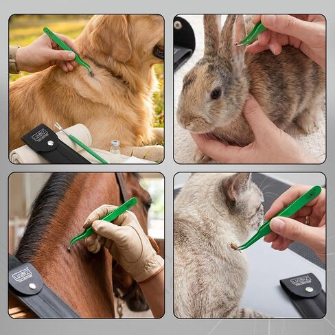 HADIZ Tick Flea Remover Tool Tweezer & Forceps Set for Dogs Cats & Humans Stainless Steel Tick Removal Kit Safe & Effective Tick Puller in Saudi Arabia