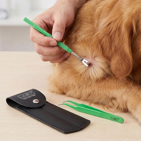 HADIZ Tick Flea Remover Tool Tweezer & Forceps Set for Dogs Cats & Humans Stainless Steel Tick Removal Kit Safe & Effective Tick Puller in Saudi Arabia