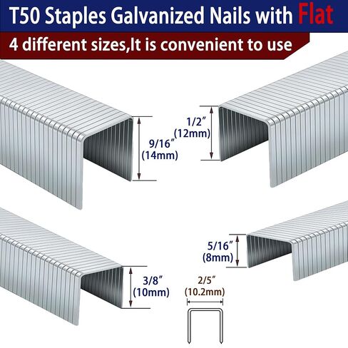 HW HAMWOO 20 Guage T/50 Staples,5/16"+3/8"+1/2"+9/16":5248pcs | Galvanized Nails,4 Sizes Assorted Size Project Pack for Staple Gun or T-50 Stapler in Kuwait
