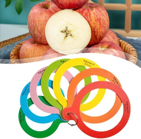 Fruit Caliper Portable Measuring Tool Professional Apple Sizing Caliper Fruit Grading Standard Fruit Diameter Ruler with PP Construction, 7 Rings in Kuwait