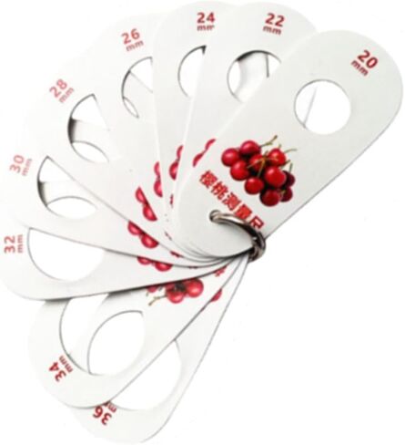 Generic 5x Fruit Caliper, Multifunction 9 Holes Fruit Circle Caliper, Measuring Grade Tool Ruler for Fresh Fruit Grade in Kuwait