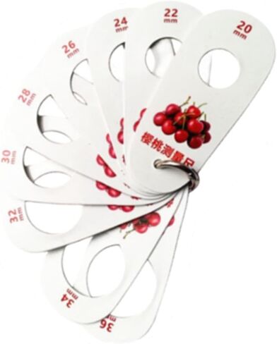 Generic 5x Fruit Caliper, Multifunction 9 Holes Fruit Circle Caliper, Measuring Grade Tool Ruler for Fresh Fruit Grade in Kuwait