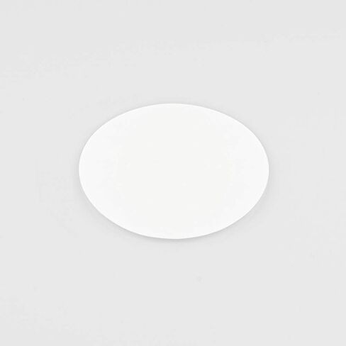 GVS Filter Technology, Filter Disc, NY Membrane, 0.22µm, 47mm, 100/pk in Kuwait