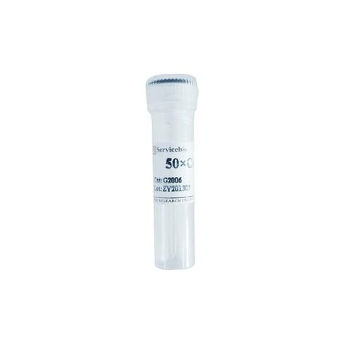 BioWORLD 22020004-1 مثبط الأنزيم البروتيني كوكتيل I لاستخراج البروتين للاستخدام العام، قارورة واحدة in Kuwait