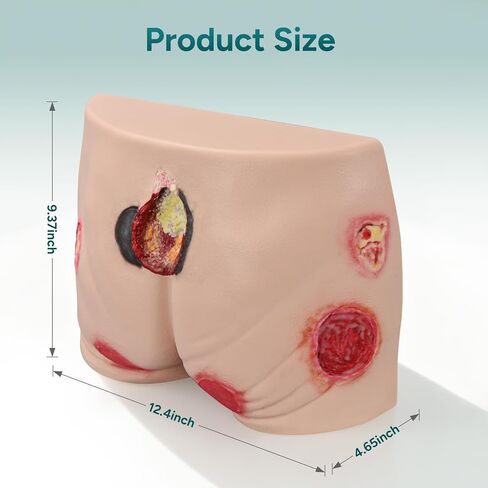 Full Silicone Pressure Ulcer Model, Buttock Decubitus Ulcer Wound Care Training Model, Bedsore Wound Packing Trainer in Kuwait