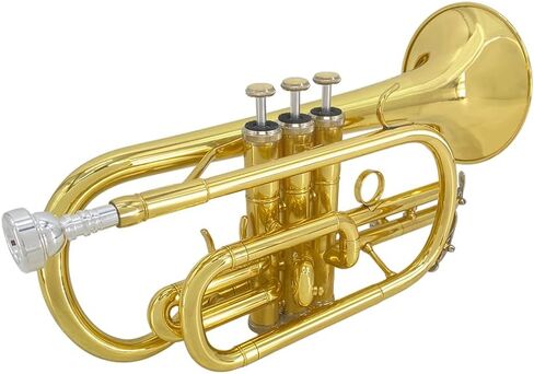 Bb Cornet Brass Instrument, B Flat Nickel Plated with Mouthpiece, Carrying Case, Gloves and Cleaning Cloth, Professional Cornet for Students and Beginners（Golden） in Kuwait