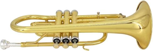 Bb Cornet Brass Instrument, B Flat Nickel Plated with Mouthpiece, Carrying Case, Gloves and Cleaning Cloth, Professional Cornet for Students and Beginners（Golden） in Kuwait