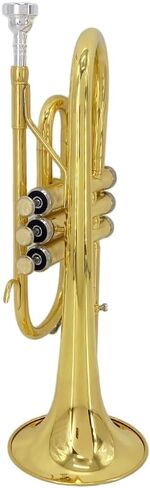 Bb Cornet Brass Instrument, B Flat Nickel Plated with Mouthpiece, Carrying Case, Gloves and Cleaning Cloth, Professional Cornet for Students and Beginners（Golden） in Kuwait