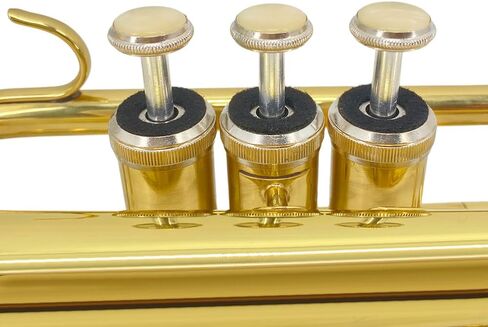 Bb Cornet Brass Instrument, B Flat Nickel Plated with Mouthpiece, Carrying Case, Gloves and Cleaning Cloth, Professional Cornet for Students and Beginners（Golden） in Kuwait