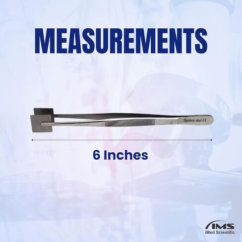 Specimen Paddle Forceps with Wide Square Serrated Pads Stainless Steel Lab Tweezers 6" in Kuwait