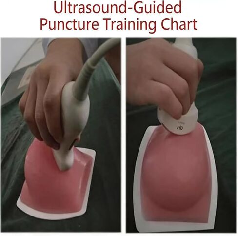 Professional Breast Lump Training Model, Ultrasound Guided Puncture Biopsy Simulator, Soft Silicone Phantom with Multi-Size Simulated Lumps, Reusable Design for Medical School Education in Kuwait
