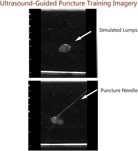 Professional Breast Lump Training Model, Ultrasound Guided Puncture Biopsy Simulator, Soft Silicone Phantom with Multi-Size Simulated Lumps, Reusable Design for Medical School Education in Kuwait
