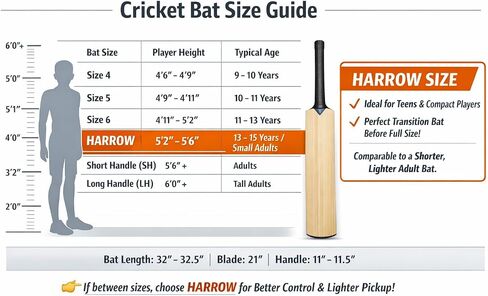Kashmir Willow Cricket Bat, Grade 1 Premium Wood, Adult and Youth Size, Harrow Size with Natural Wood Finish (Players preferring Size 6 and Harrow) in Saudi Arabia