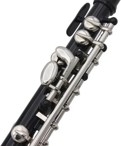 16 Key of C Piccolo, with Hard Case, Cleaning Rod, Cloth, Guarantee Sound, Piccolo Instrument for Beginners Student in Kuwait