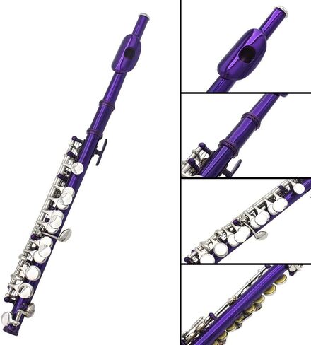 16 Keys C Piccolo, Piccolo Musical Instrument, Guarantee Sound, with Case, Tuning Rod and Cloth, for Beginner Kids Student(Silver) in Kuwait