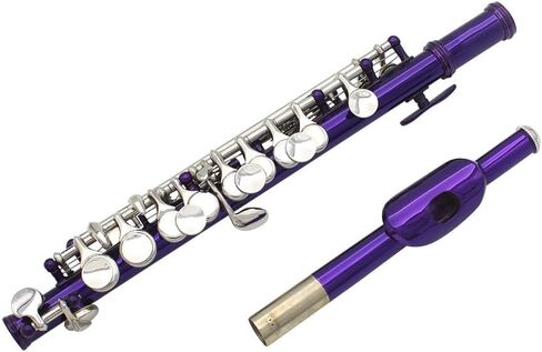 16 Keys C Piccolo, Piccolo Musical Instrument, Guarantee Sound, with Case, Tuning Rod and Cloth, for Beginner Kids Student(Silver) in Kuwait