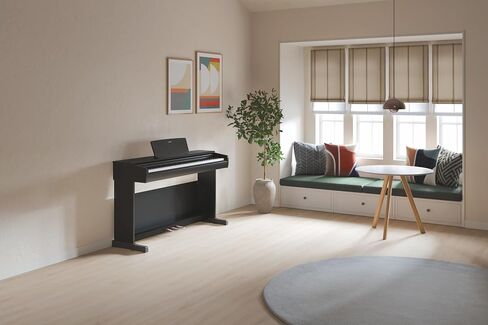 لوحة مفاتيح بيانو رقمية من سلسلة Yamaha Arius مكونة من 88 مفتاحًا للمبتدئين، حجم كامل، صوت بيانو كبير، وحدة ذات 3 دواسات، مقعد متضمن، تصميم كلاسيكي مستقيم باللون الأسود، YDP146B in Kuwait