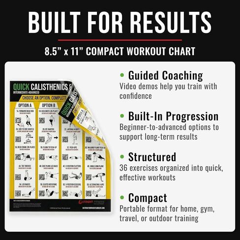 Calisthenics & Core Workout Poster – Bodyweight Exercise Wall Chart with QR Video Demos | Calisthenics & Core System, Actual Workouts, Free Video Support, Visual Workout Guides, Multiple Format Options in Kuwait