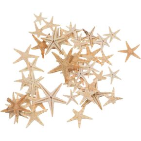 Kopida 50 Pcs Natural Starfish Star Seashell Beach Craft for Party Wedding Decorations DIY Crafts Fish Tank Vase Fillers Home Decorations Supplies