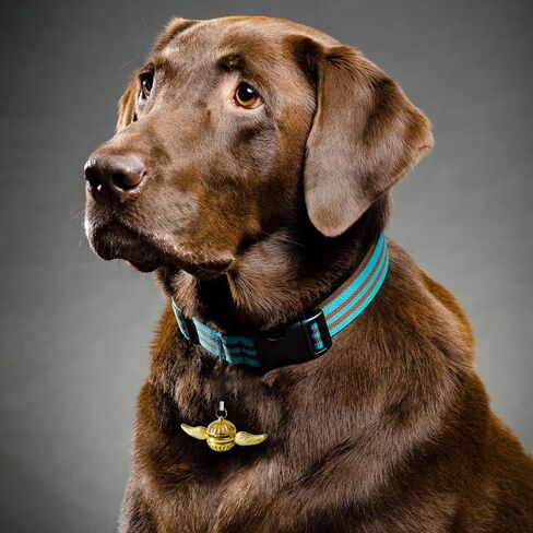 جولدن فيدجيت سبينر، سلسلة مفاتيح معدنية صغيرة دوارة لتزيين المنزل وأمتعة الظهر، ألعاب يدوية حسية لتخفيف القلق للأطفال البالغين in Kuwait