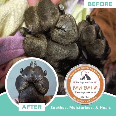 بلسم مخلب الكلب، واقي بلسم مخلب الكلب ضد الحرارة طوال الموسم، كريم مخلب زبدة الكلاب والقطط مهدئ ويشفي ويصلح ويرطب الشمع للأنوف الجافة والأقدام الخشنة المتشققة 2 أونصة in Kuwait