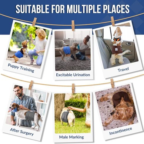 حفاضات الكلاب الذكور القابلة للغسل من SlowTon - أربطة بطن للكلاب أعرض بنسبة 20% وعالية الامتصاص مع وسادات قابلة للإزالة - 3 عبوات من أغطية الكلاب الناعمة القابلة لإعادة الاستخدام مع مقاومة للتسرب (رمادي، أزرق، بني، صغير) in Kuwait