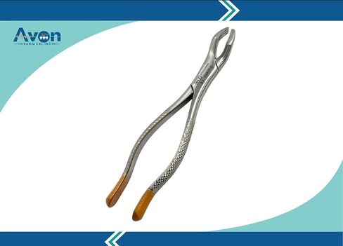 ملقط قلع الأسنان رقم 53R ملقط قلع الأضراس الأول والثاني العلوي نمط كماشة - أدوات طب الأسنان الألمانية المصنوعة من الفولاذ المقاوم للصدأ in Kuwait