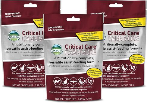 Oxbow 3 Pack of Critical Care Carnivore, 2.47 Ounces Each, Support Supplement for Small Pets in Kuwait