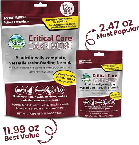 Oxbow 3 Pack of Critical Care Carnivore, 2.47 Ounces Each, Support Supplement for Small Pets in Kuwait