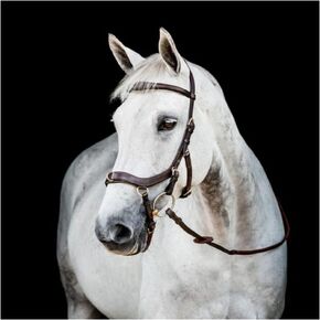 Horseware Ireland Micklem 2 Multi Bridle Dark Havana Standard in Saudi Arabia