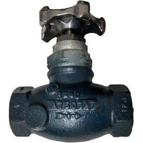 A7507AP V-Ring Globe Valve for Bulk Storage Vessels with Low Pressure Gas, Anhydrous Ammonia A7505AP in Saudi Arabia