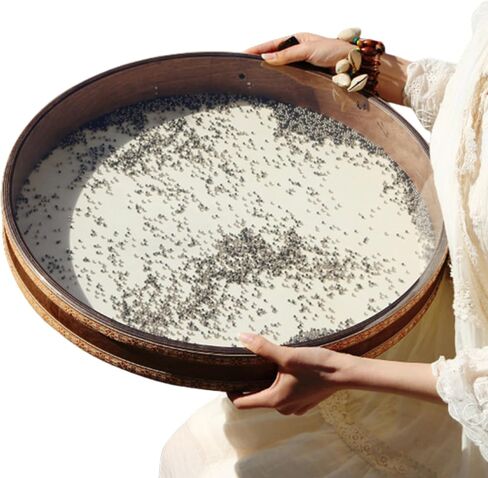 طبلة المحيط بإطار من خشب الجوز الأسود، وحزام غريب، وجلد الغنم والجلود الاصطناعية، وطلقة فولاذية وكريات بلاستيكية للشفاء الصوتي، والتأمل، واليوجا in Kuwait