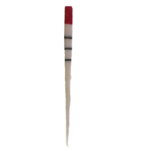 Dentsply A022W00010200 ProTaper Paper Points F2#25 PTUPPF2 180/Pk in Kuwait