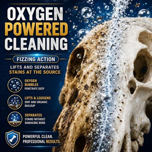 Bone Whitener for Taxidermy – Oxygen-Based Skull Cleaner for European Mounts, Bleach-Free Whitening Powder, 50g in Kuwait