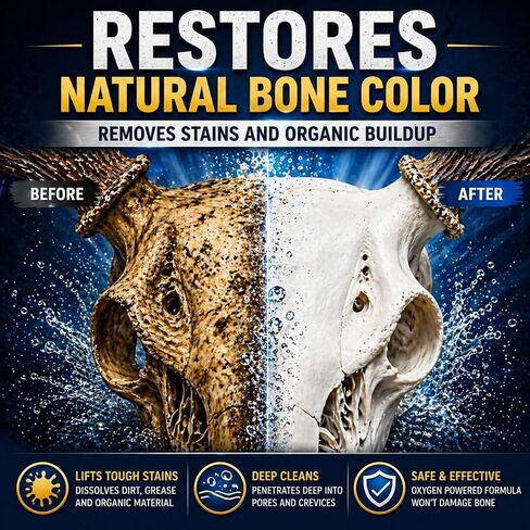 Bone Whitener for Taxidermy – Oxygen-Based Skull Cleaner for European Mounts, Bleach-Free Whitening Powder, 50g in Kuwait
