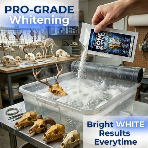 Bone Whitener for Taxidermy – Oxygen-Based Skull Cleaner for European Mounts, Bleach-Free Whitening Powder, 50g in Kuwait