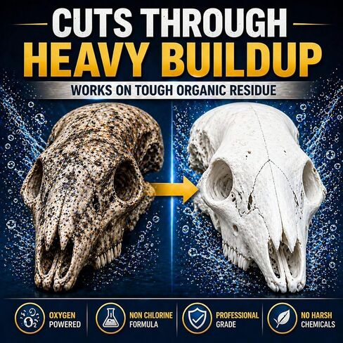 Bone Whitener for Taxidermy – Oxygen-Based Skull Cleaner for European Mounts, Bleach-Free Whitening Powder, 50g in Kuwait