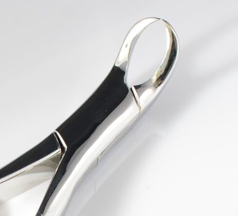 Dental Extracting Extraction Forcep # 150+151+ 23 by SurgicalOnline in Kuwait
