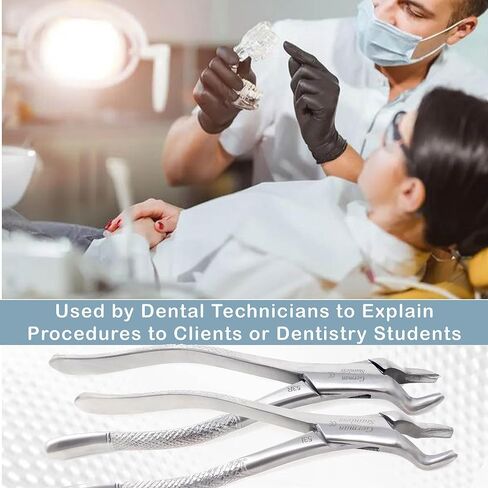 A2Z قطعتان من ملقط استخلاص الأسنان الألماني #53R #53L - لاستخراج الأضراس العلوية اليمنى واليسرى الأولى والثانية من العظم السنخي - فكي مسنن ومقبض قوي - مصنوع من الفولاذ المقاوم للصدأ الفاخر in Kuwait