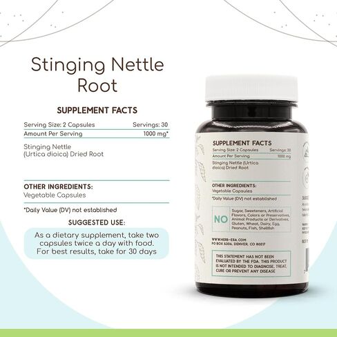 HerbEra Stinging Nettle Root 120 كبسولة، 500 مجم، نبات القراص العضوي التابع لوزارة الزراعة الأمريكية (Urtica Dioica) الجذر المجفف (120 كبسولة) in Kuwait