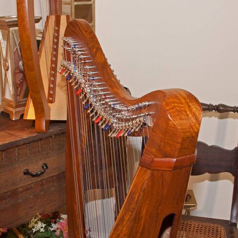 Roosebeck 29-String Mintrel Pedestal Harp w/Chelby Levers & Bag, 5 Panel in Kuwait