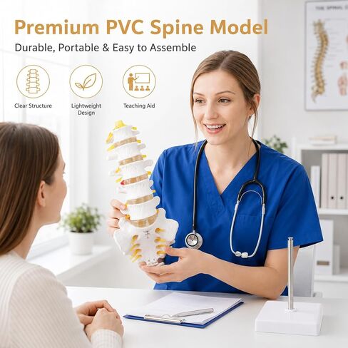 2Pcs Lumbar Spine Model Flexible Anatomical Lumbar Vertebrae with 5 Vertebrae and Herniated Disc Model Set for Medical Students, Doctors Patient Education and Chiropractic in Kuwait