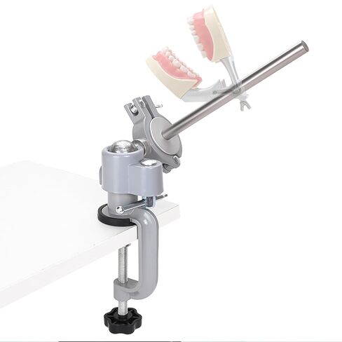 Typodont Teeth Model Mount, 360° Rotation Desk Fixed Pole Design Stable Manikin Training Base for Dental Schools Education Practical Dental Skill Training in Kuwait