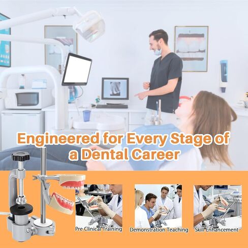 Typodont Teeth Model Mount, 360° Rotation Desk Fixed Pole Design Stable Manikin Training Base for Dental Schools Education Practical Dental Skill Training in Kuwait