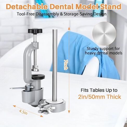 Typodont Teeth Model Mount, 360° Rotation Desk Fixed Pole Design Stable Manikin Training Base for Dental Schools Education Practical Dental Skill Training in Kuwait