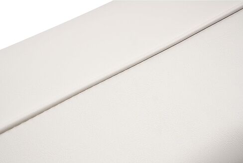 WUTIST 8WD156-R-B Replacement Seat Backrest Back Cushion Compatible with 8WD156 Series 70 Quart Offshore Swingback Cooler Seat for Fishing, Pontoon Boat, Yacht White Plastic in Kuwait