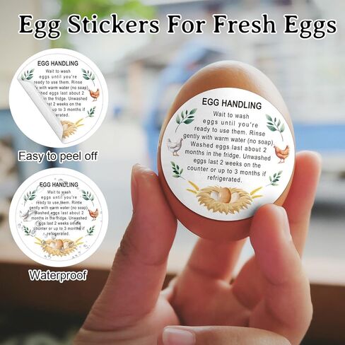 1000Pcs Fresh Farm Egg Packaging Set Include 500Pcs Market Egg Handling Stickers Unwashed Egg Sticker Labels,500Pcs Please Return Egg Carton Labels Stickers Roll for Chicken Quail Farmhouse in Kuwait